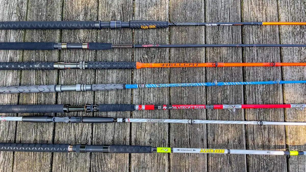 Best Catfish Rods A Guide To Choosing the Right Rod Wired2Fish