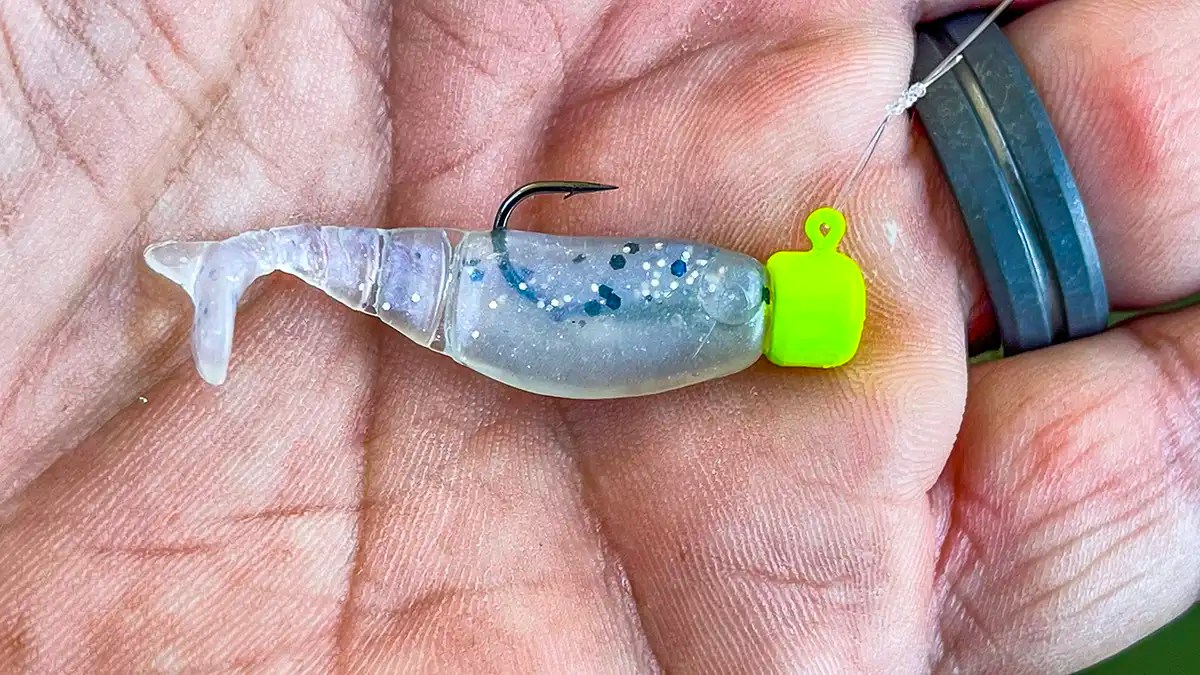 ZMan Shad FryZ Micro Finesse Review Wired2Fish