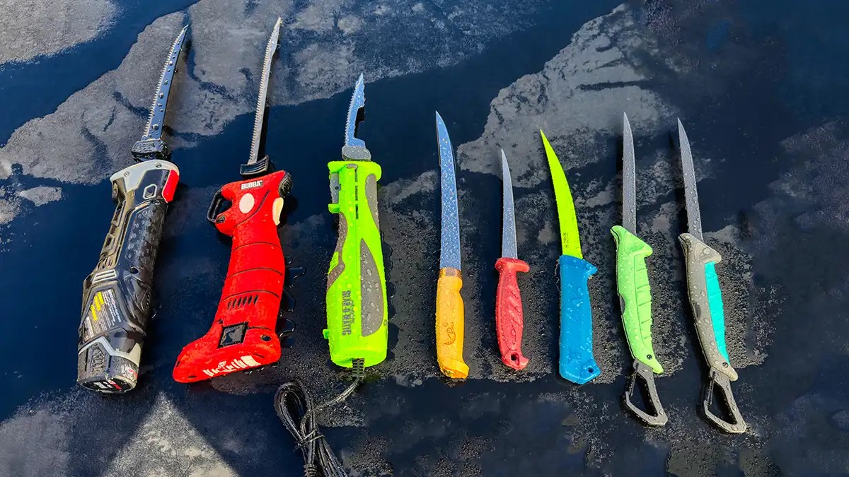 Best Fillet Knives for Fish Cleaning in 2024 Wired2Fish