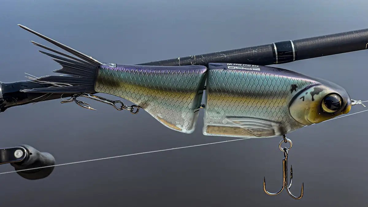 Spro KGB Chad Shad 180 Review Wired2Fish