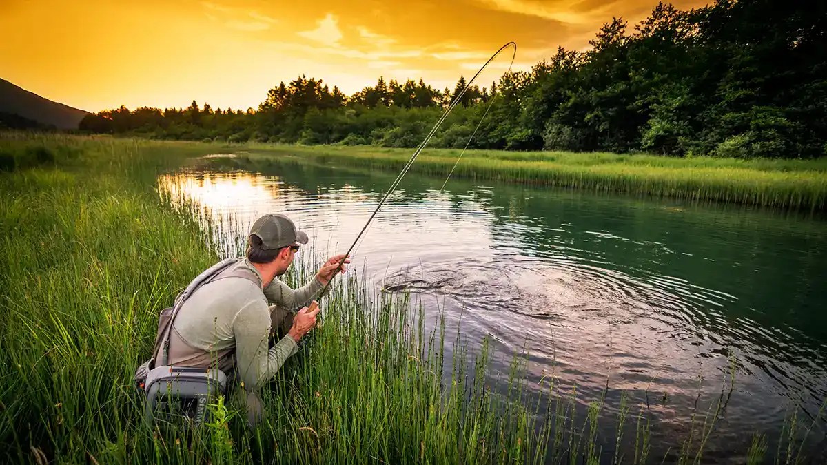Types of Fishing Rods Explained Wired2Fish