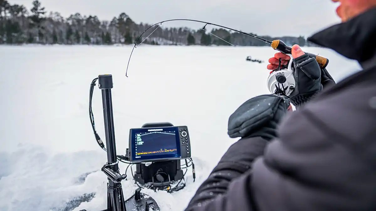 Types of Fishing Rods Explained The Reel Fishing Lure