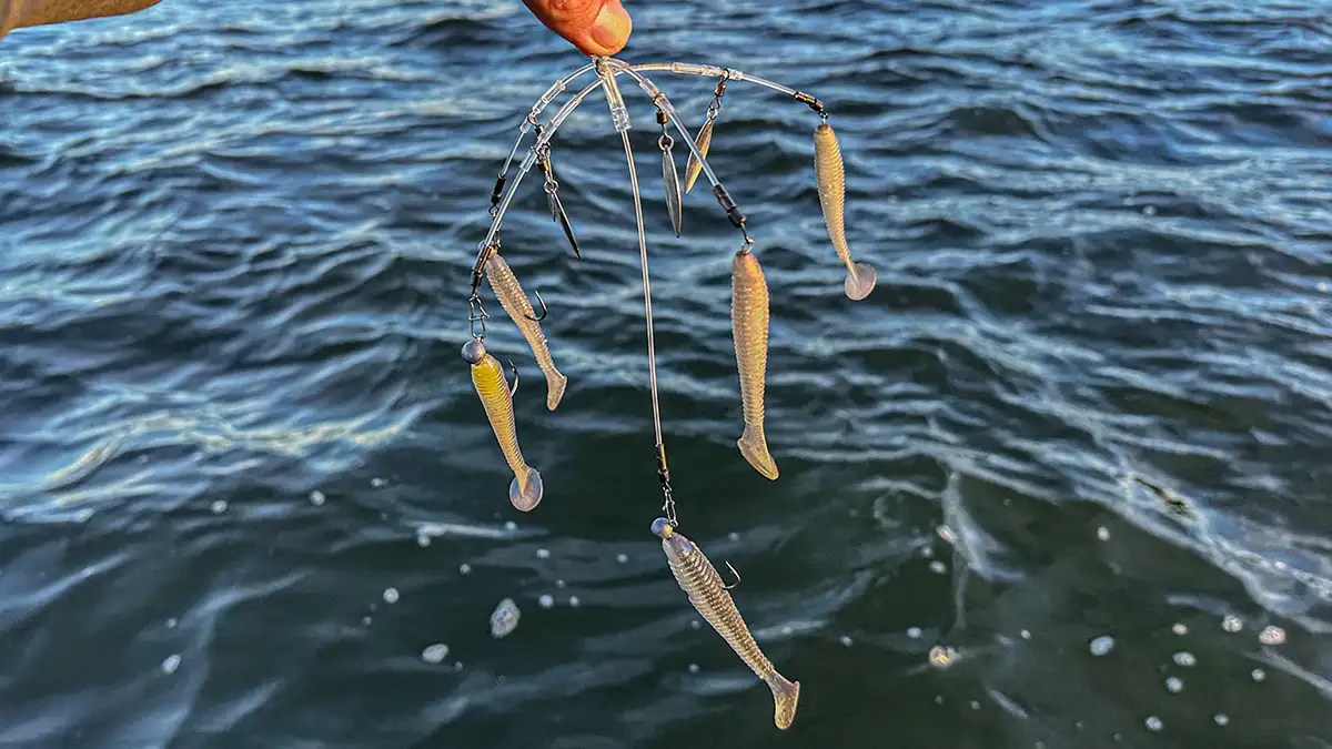 Alabama Rig vs Damiki Rig The Reel Fishing Lure