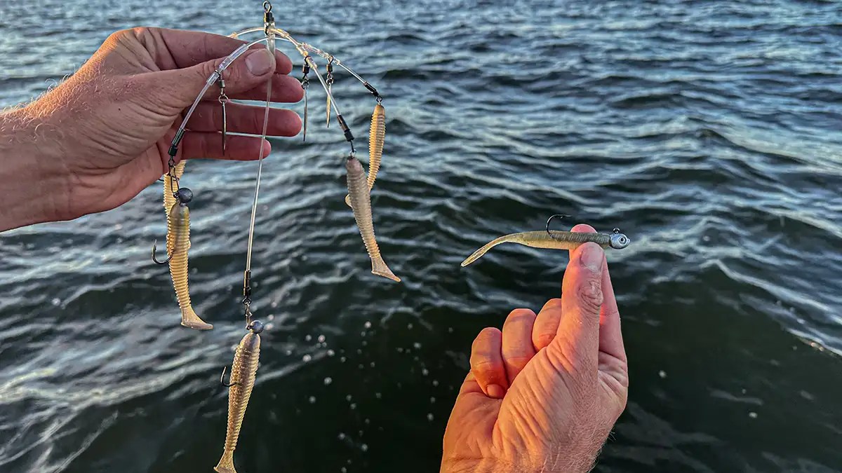 Alabama Rig vs Damiki Rig Wired2Fish