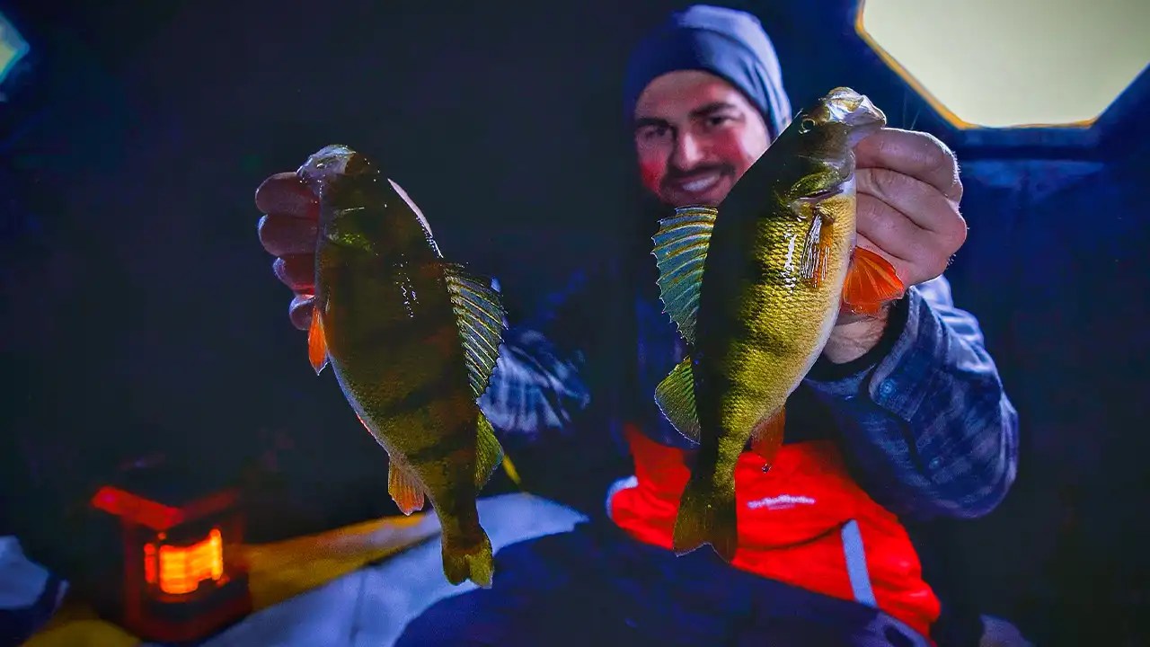 Best Ice Fishing Lures for Perch Wired2Fish