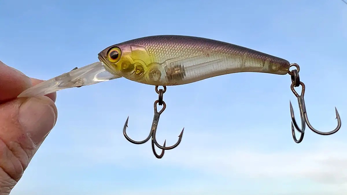 Understanding Weight Transfer Systems in Fishing Lures Wired2Fish
