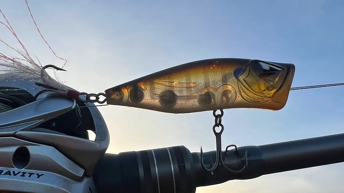 Understanding Weight Transfer Systems in Fishing Lures Wired2Fish