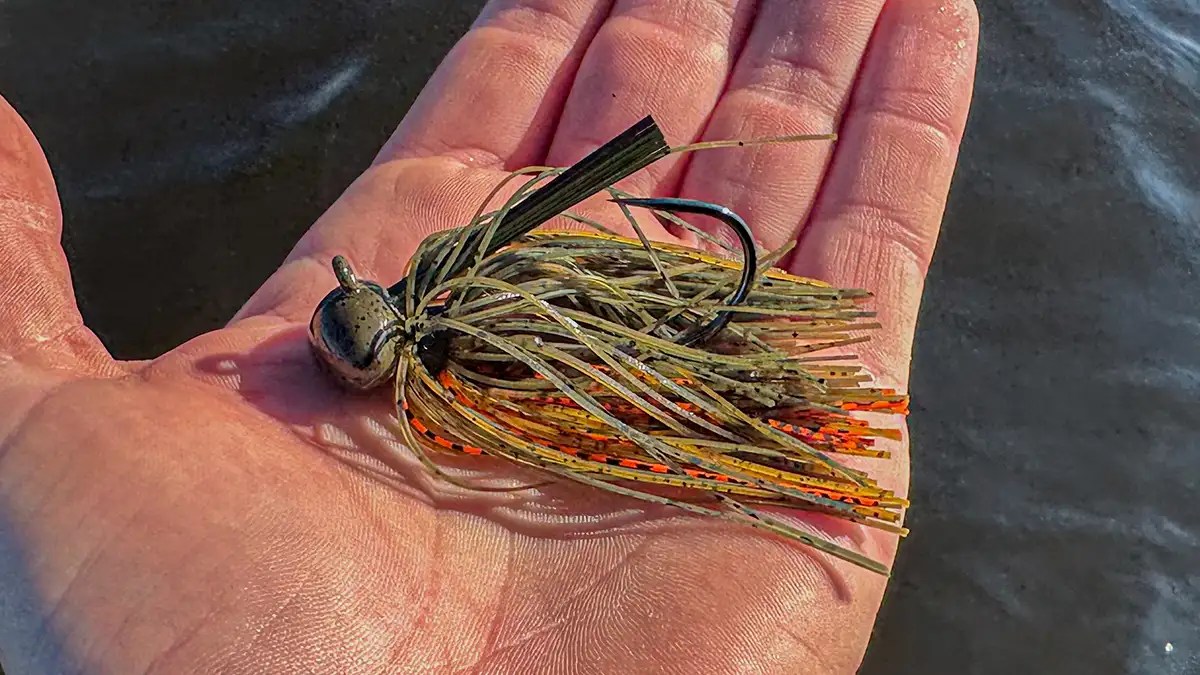 How to Choose the Right Jig Wired2Fish