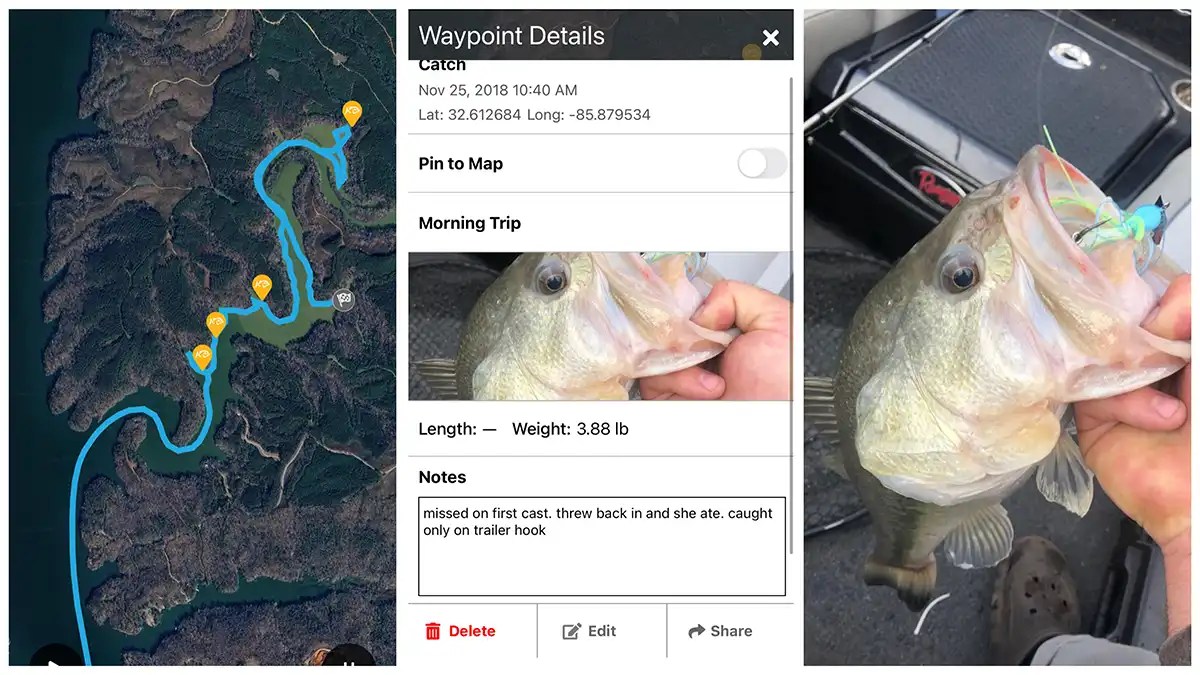 Best 8 Bass Fishing Apps Wired East