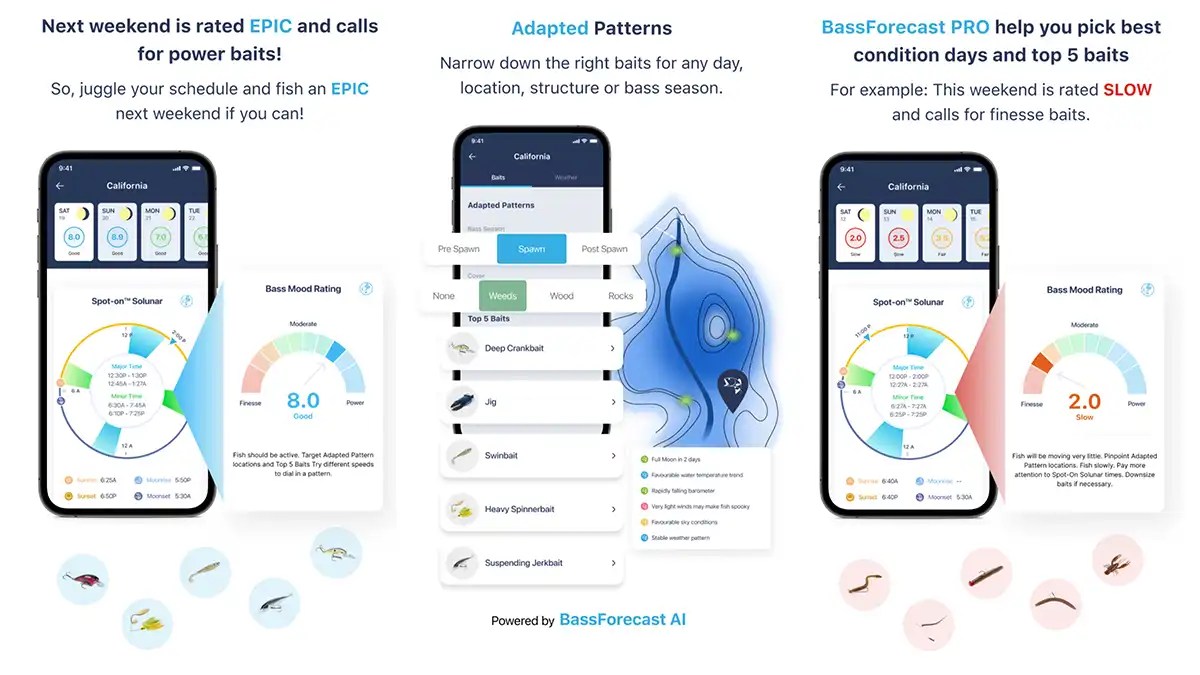 Best 8 Bass Fishing Apps Wired East