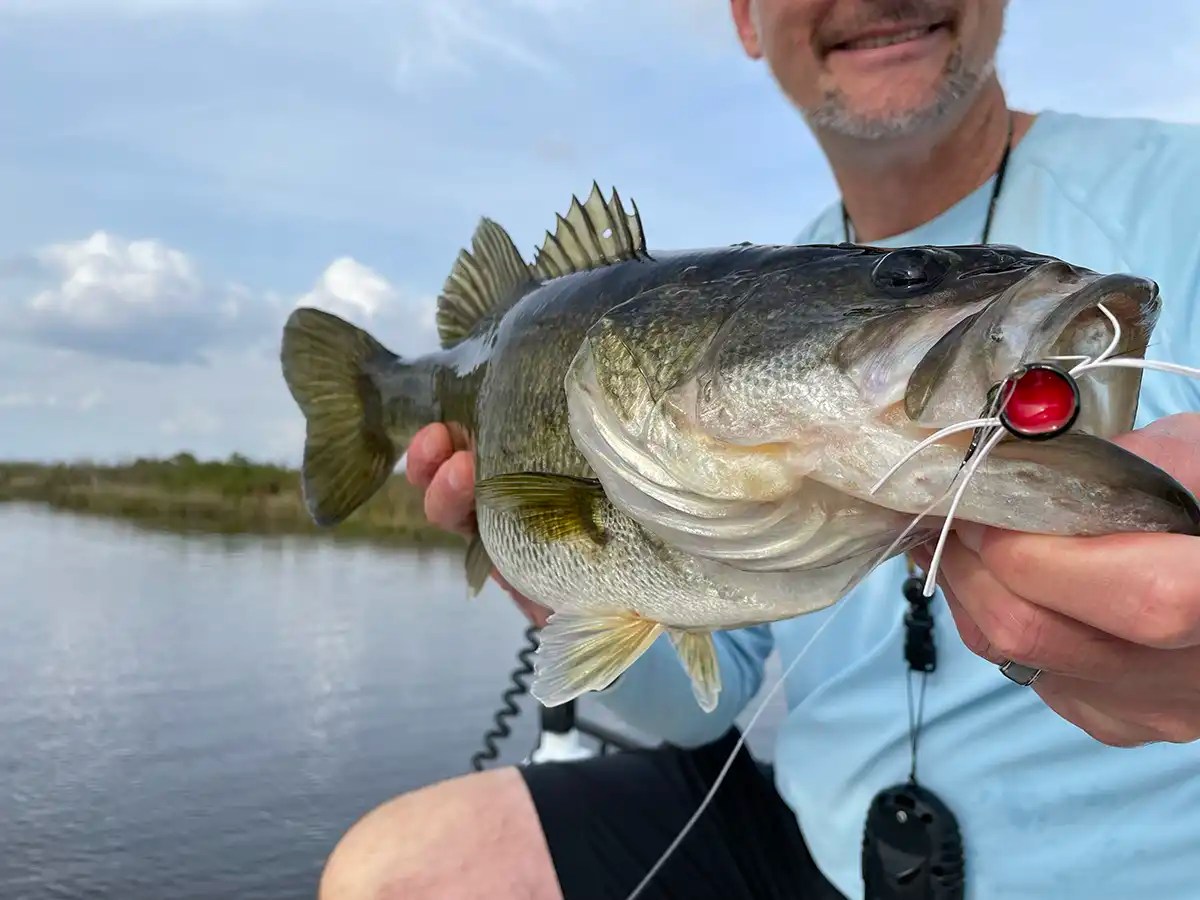 Fly Fishing for Largemouth Bass Wired2Fish