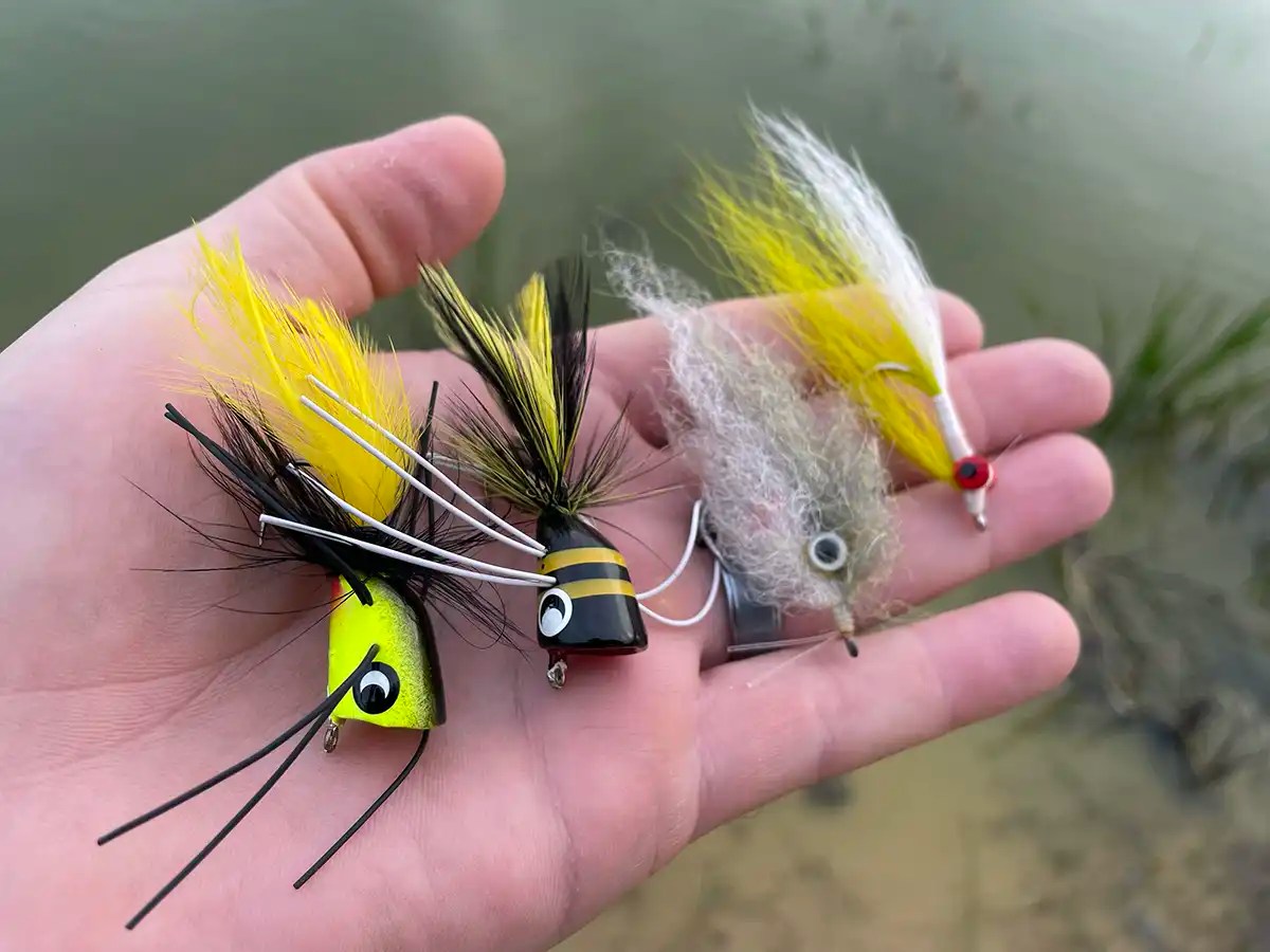 Fly Fishing for Largemouth Bass Wired2Fish