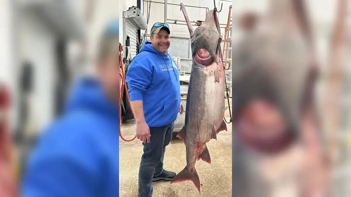 Angler Snags World Record Paddlefish Wired2Fish