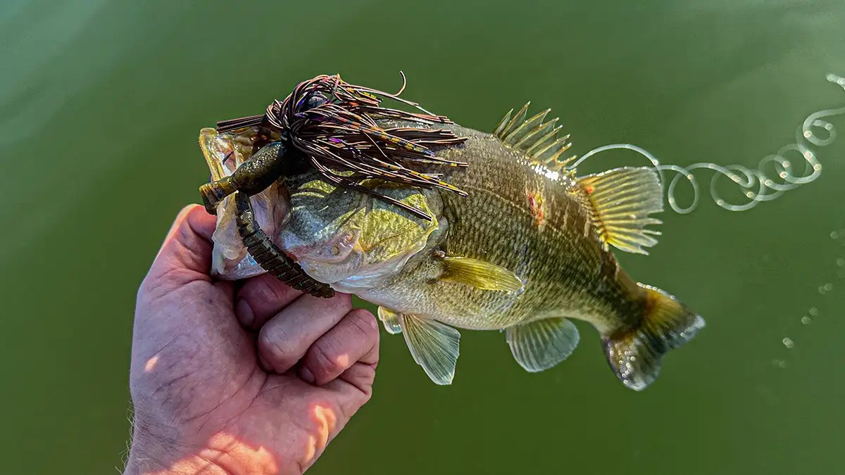 Bottom Baits vs. Moving Baits When to Fish Each Wired2Fish