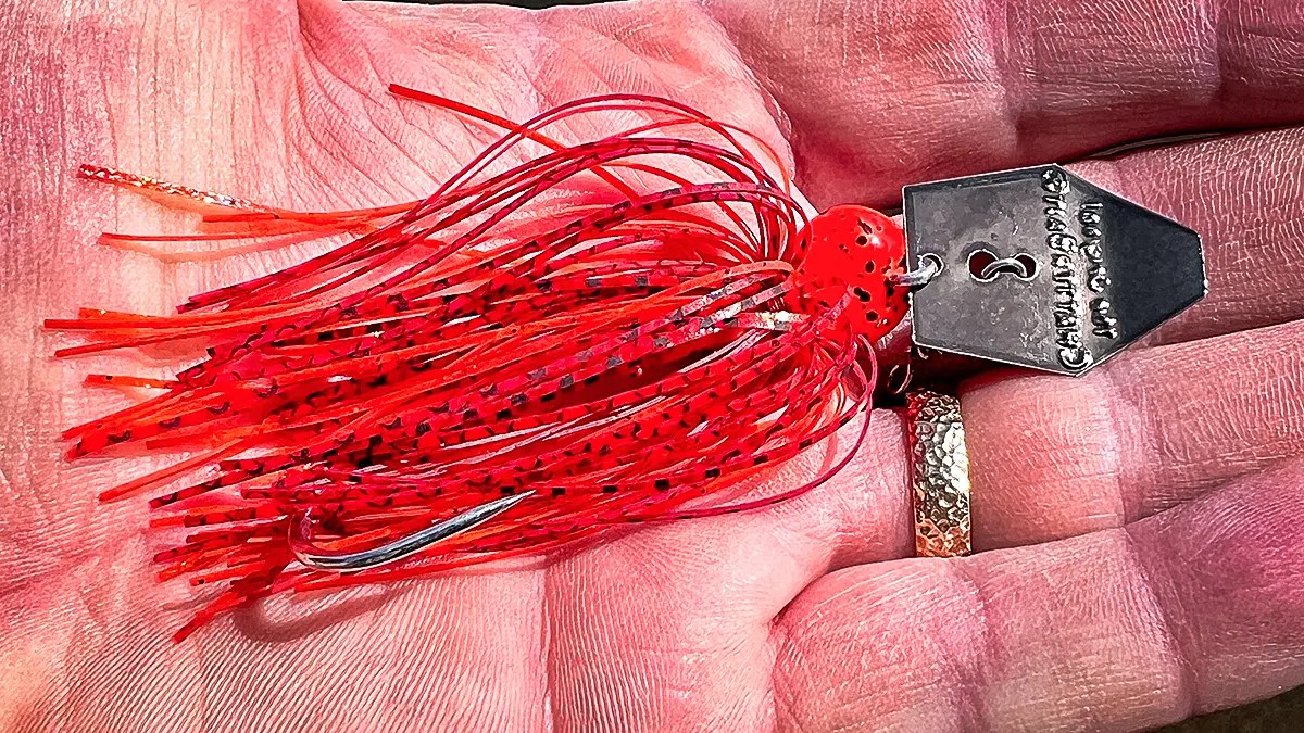 Top 5 Bass Baits for the PreSpawn Wired2Fish(03)