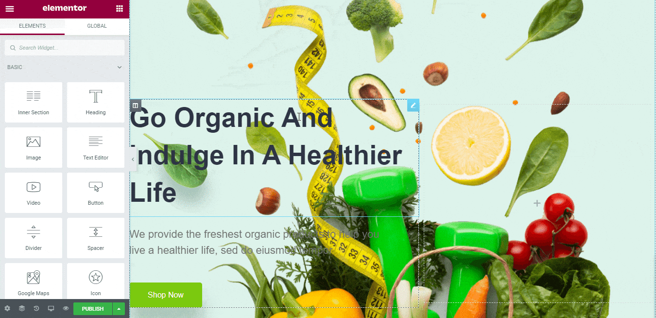 Guide to Create Organic Food site With Elementor Template