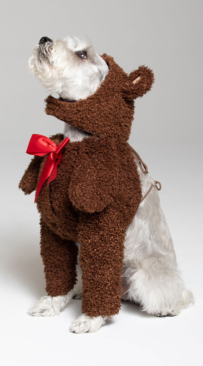 Teddy Bear Dog Costume, Fuzzy Teddy Bear Dog Costume