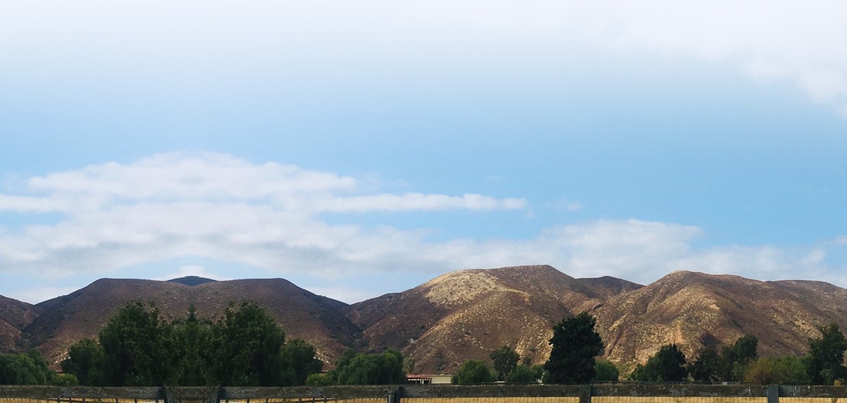 Orthopaedic Surgery and Sports Medicine Center Orthopaedic Surgeons