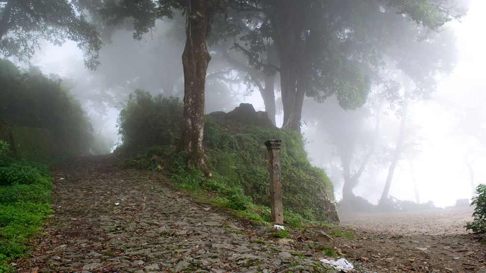 Dow Hill Kurseong The Most Haunted Places In Darjeeling Zee Zest