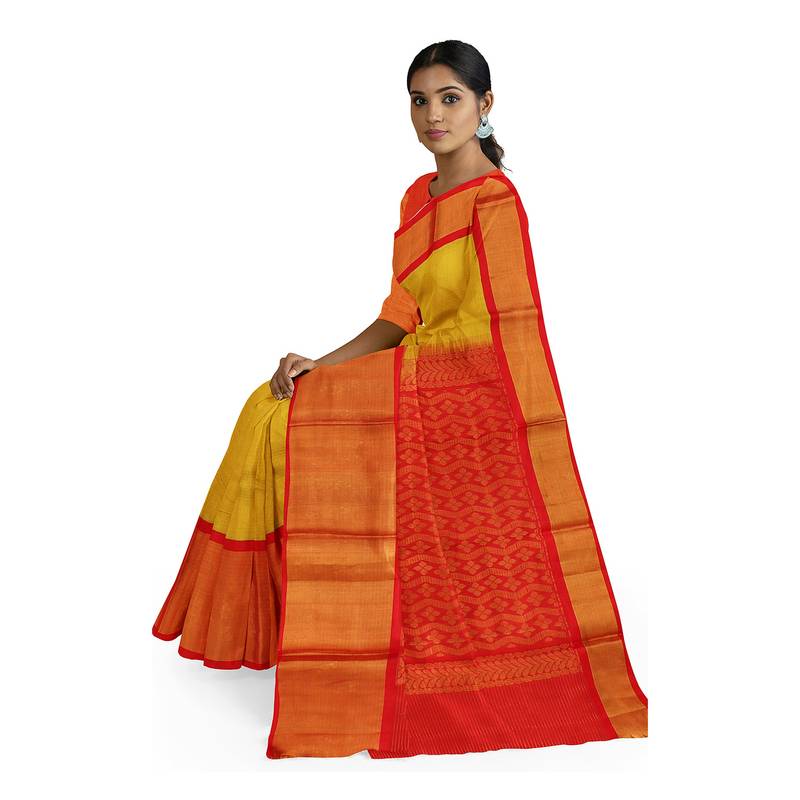 Light green hand woven andhra pradesh handloom saree with blouse APCO