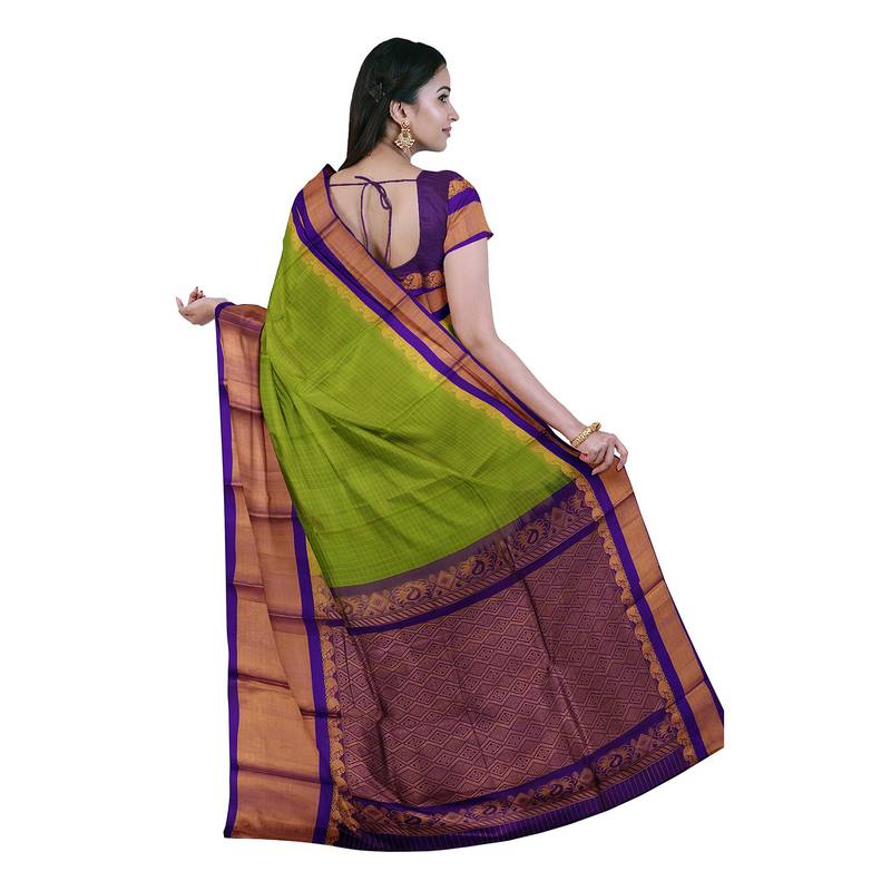 Light green hand woven andhra pradesh handloom saree with blouse APCO