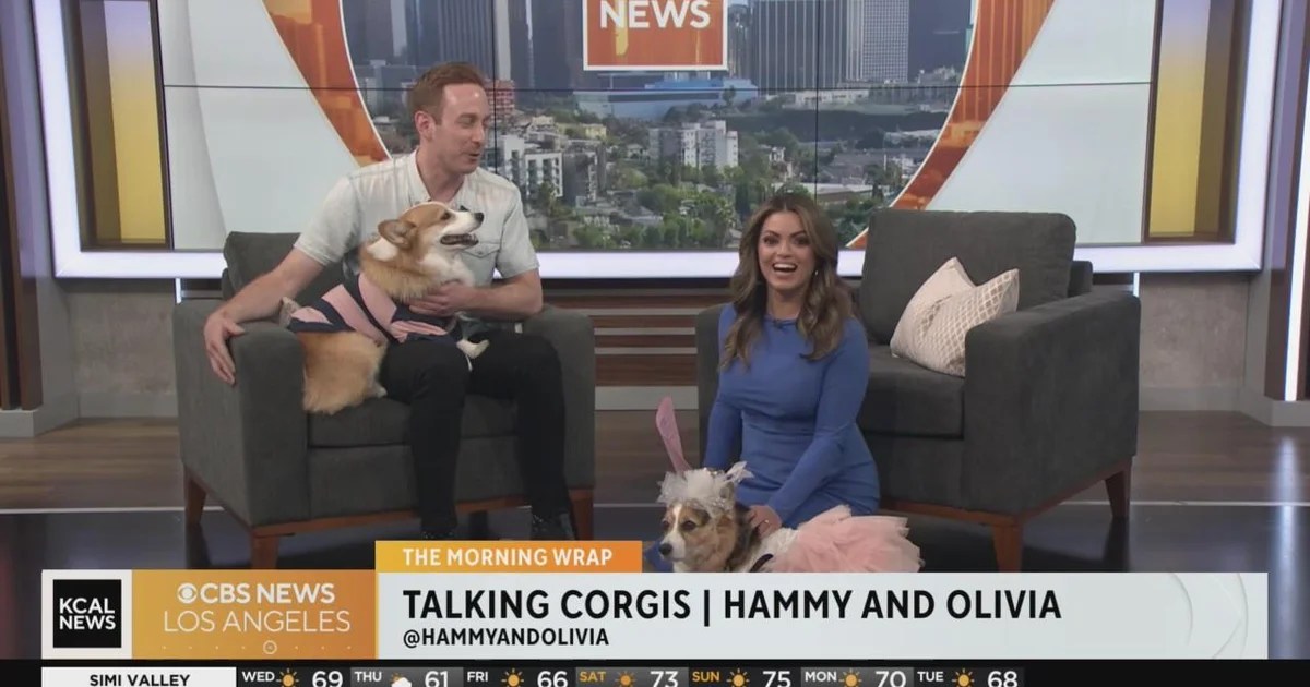 'Talking Hammy and Olivia visit Morning Wrap CBS Los Angeles(03)