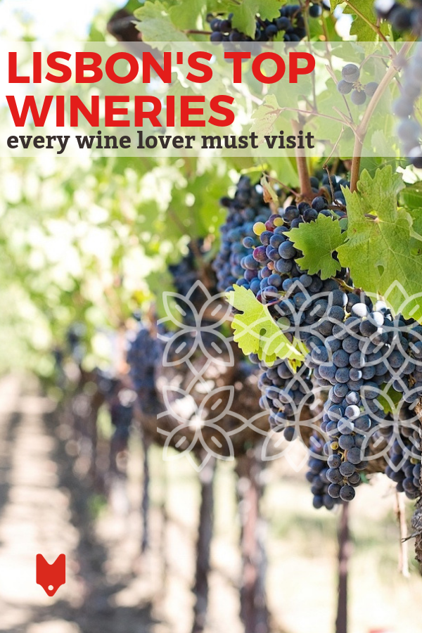 The 5 Best Lisbon Wineries Where to Sample Spectacular Portuguese Wine Devour Tours