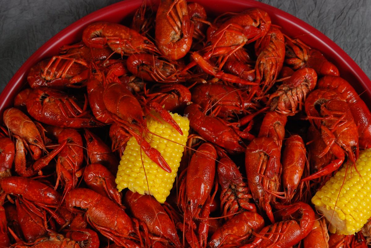 Best Seafood in New Orleans 10 Restaurants for Every Budget Devour Tours