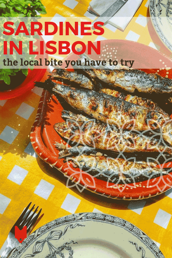 Everything You Need to Know About Sardines in Lisbon Devour Tours