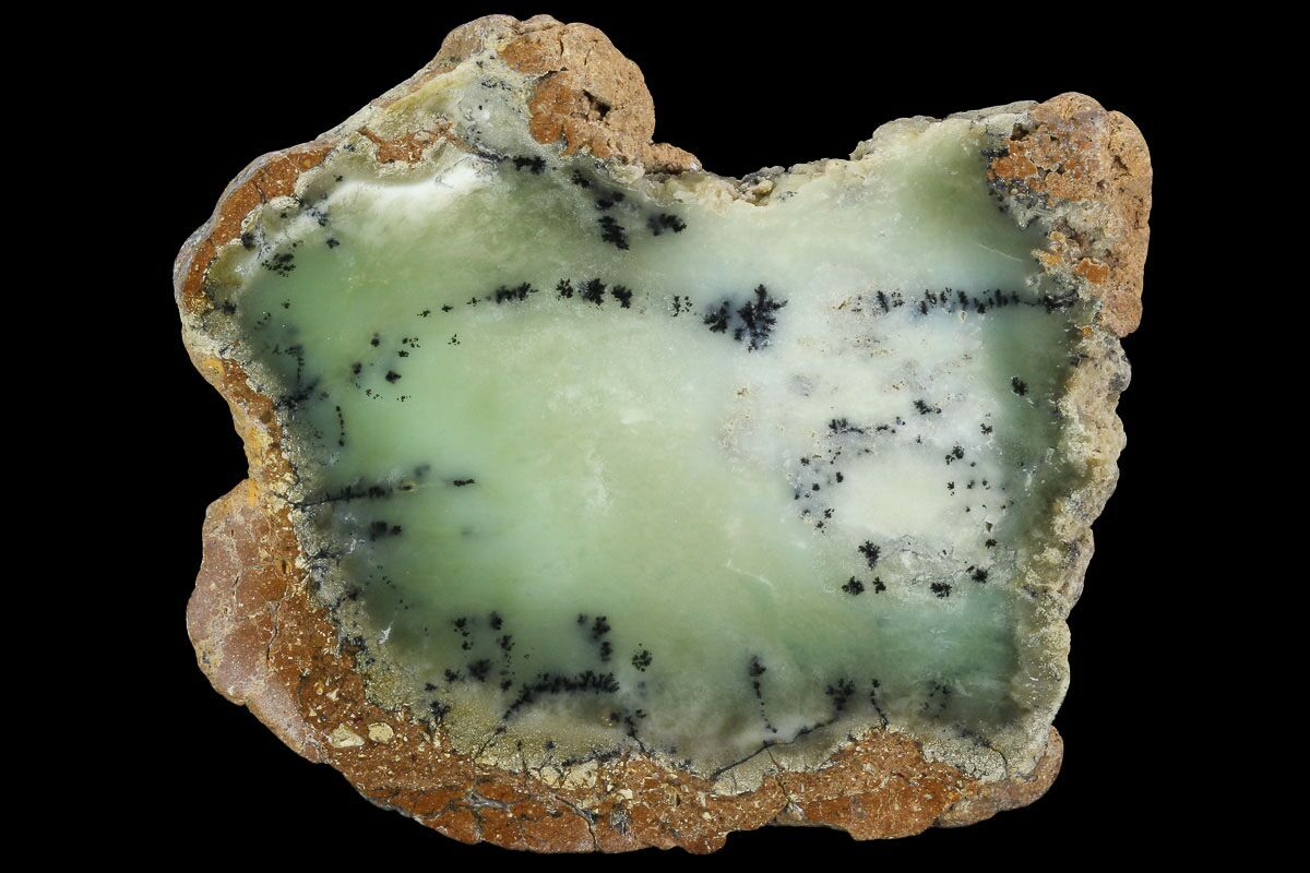 4" Polished Dendritic Opal (Moss Opal) Slab Australia (96277) For