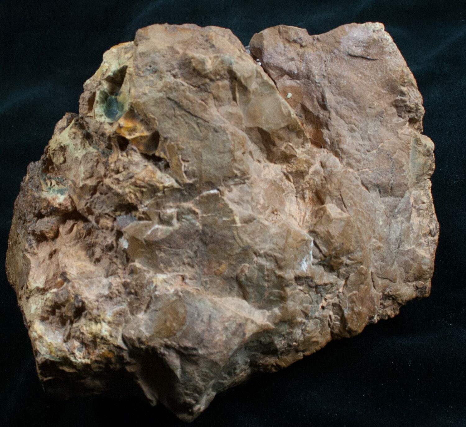 Emerald Green Zimbabwe Petrified Wood End Cut (7801) For Sale