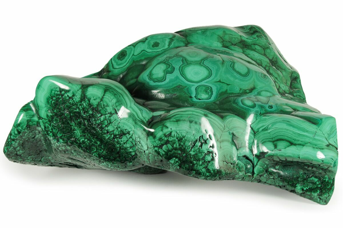 16" Flowery, Polished Malachite Specimen (66.3 lbs) (228170) For Sale