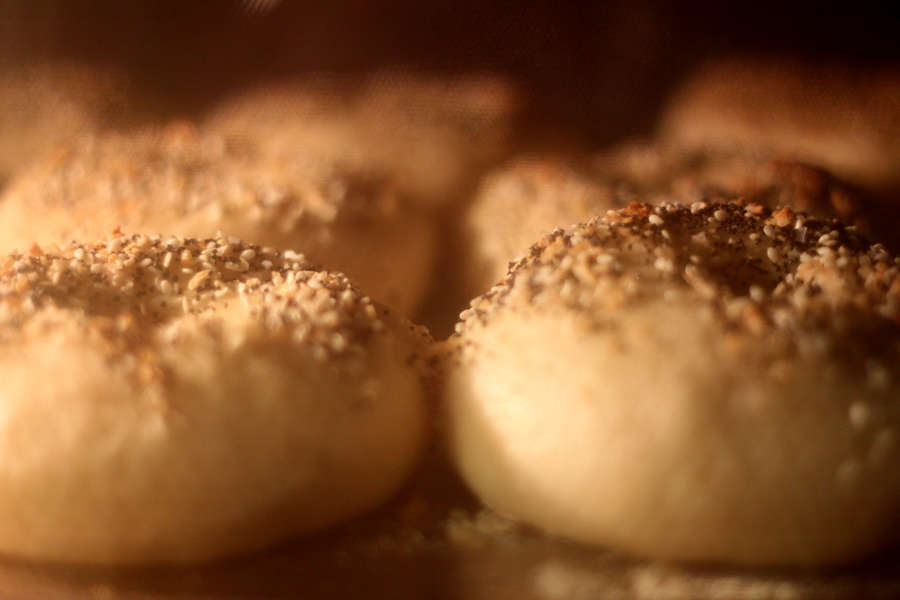 Best Bagels in the East Village Thrillist