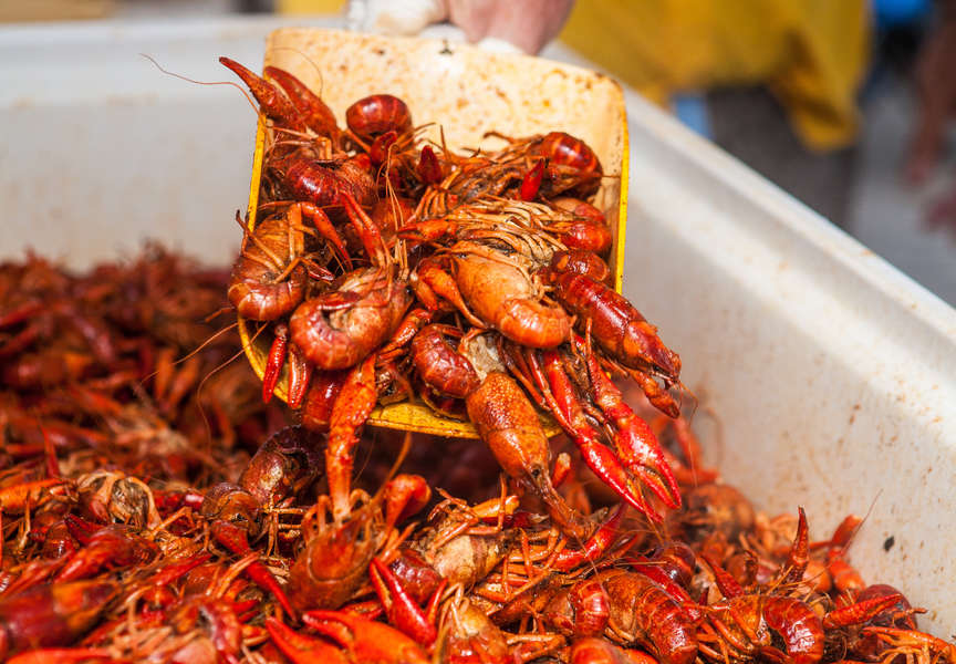 How to Do a Crawfish Boil Making a Perfect Boil, According to an Expert Thrillist
