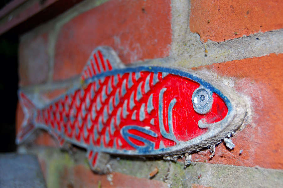 Red Herring Origin and Meaning in English Language Idiom Phrase