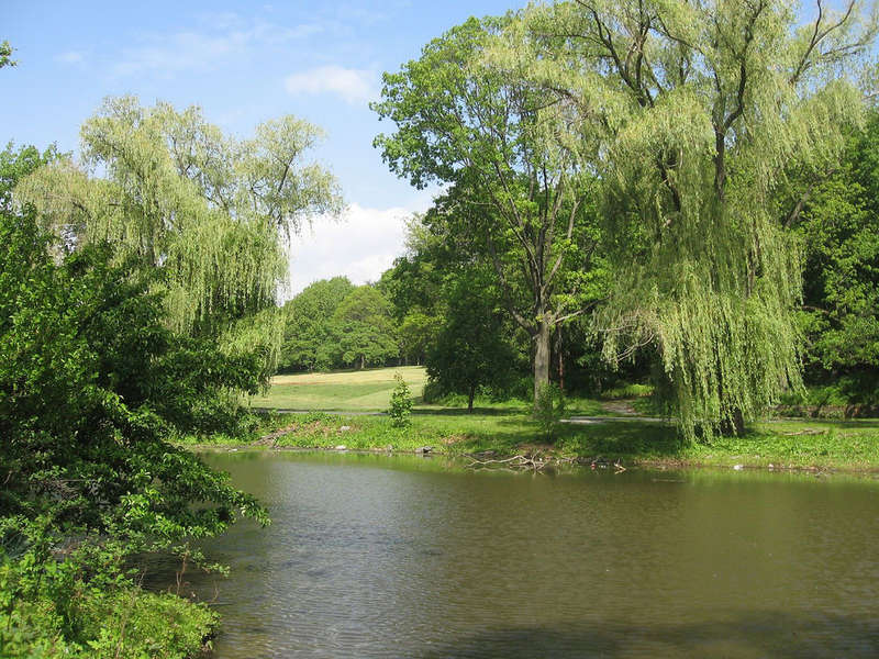 Crocheron Park A Other in Queens, NY Thrillist