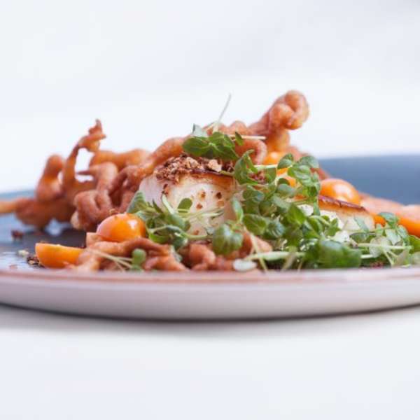 Atwood A Restaurant in Chicago, IL Thrillist