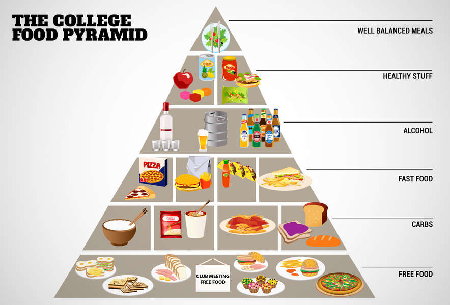 The College Food Pyramid College Food Humor Thrillist