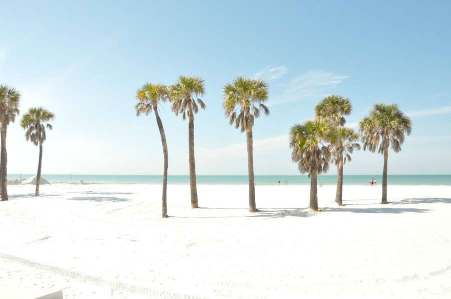 Reasons Why Florida is Better than California Thrillist Miami