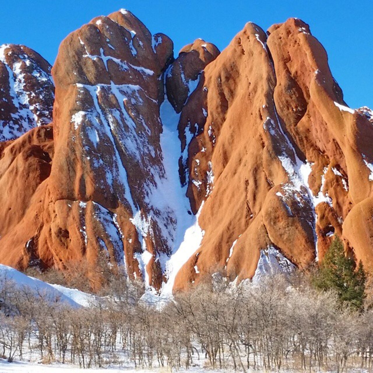 Best Denver Instagrams Thrillist