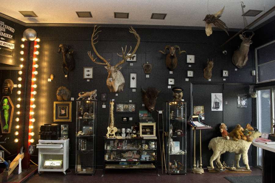 Secret Places You Didn't Know Existed in Nashville Thrillist