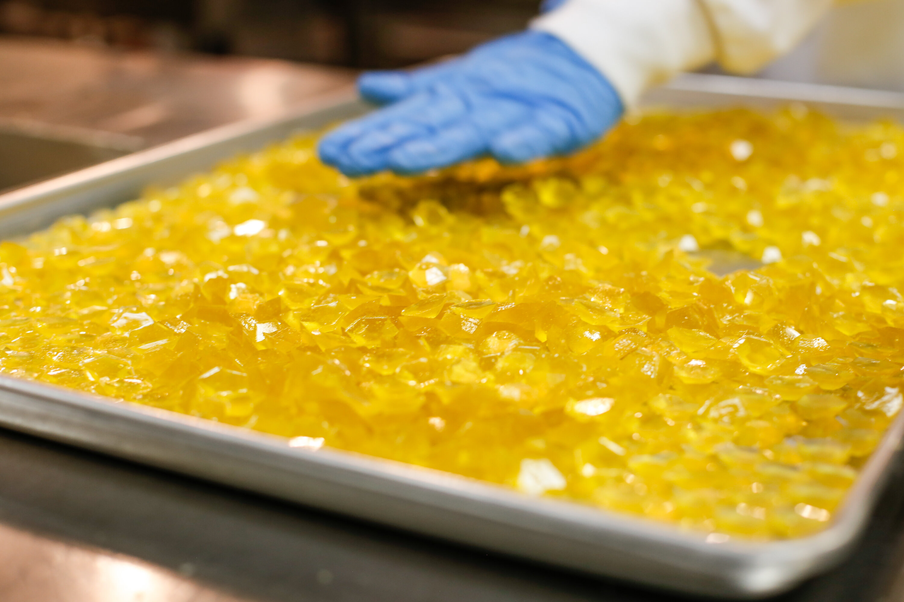 Can Trained Dogs Smell Edibles