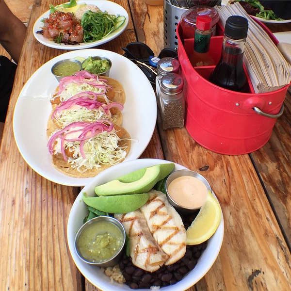 Fish 101 A Restaurant in Encinitas, CA Thrillist