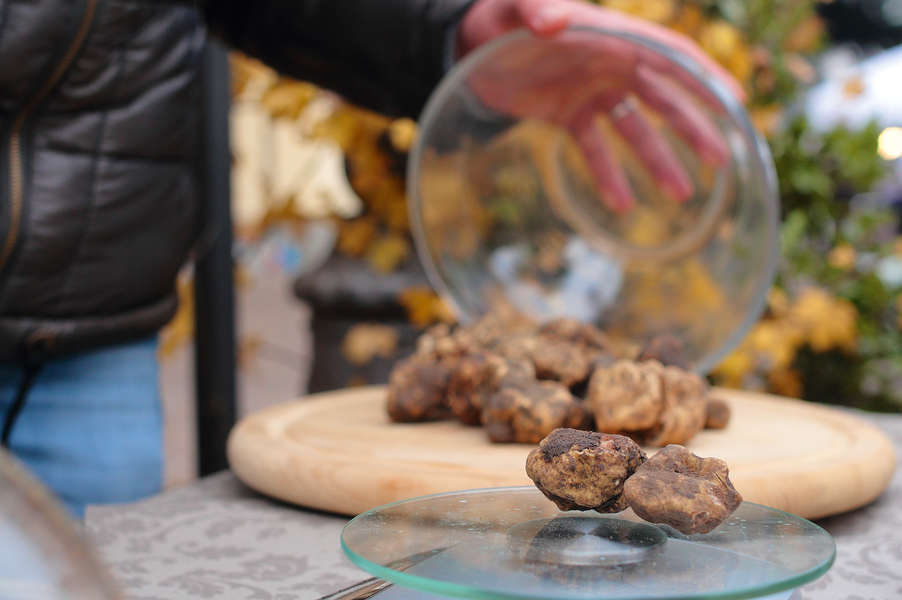 17 Things You Didn't Know About Truffle Foraging Thrillist