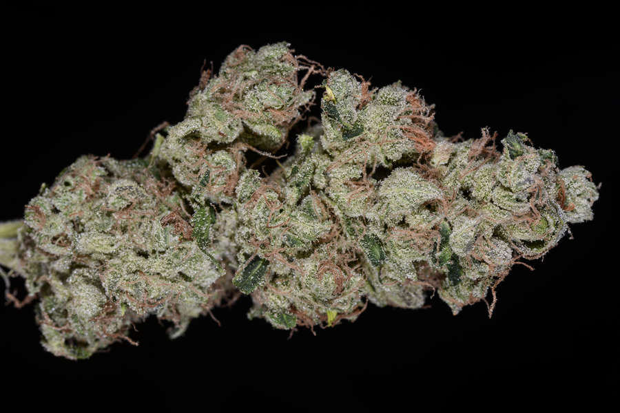 Sour Diesel Cannabis Strain Everything You Need to Know Thrillist