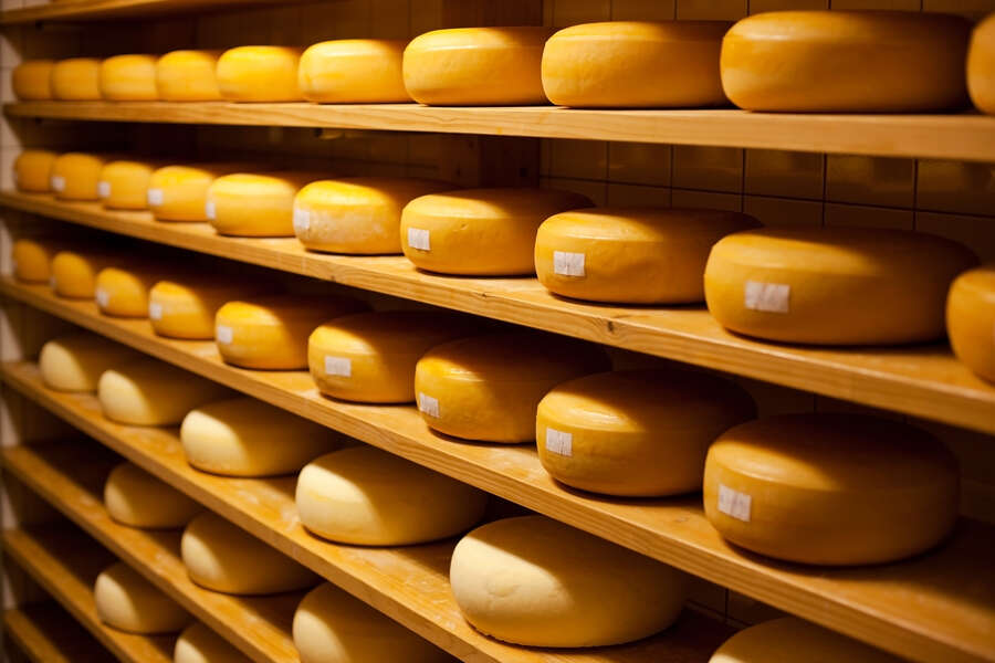 Cheese Might Cure Cancer Researchers Find Nisin Preservative Fights