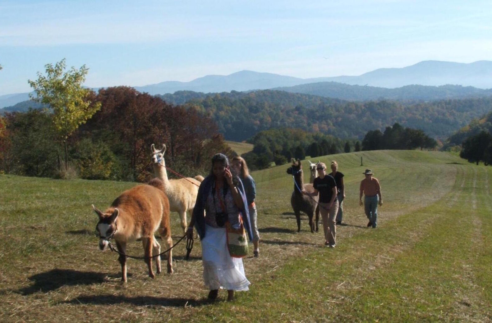 Small Towns in Virginia You Should Visit Thrillist