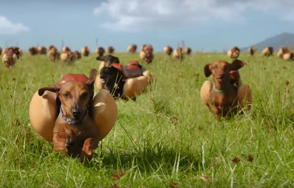 Heinz Super Bowl Commercial Features Stampede of Wiener Dogs Thrillist