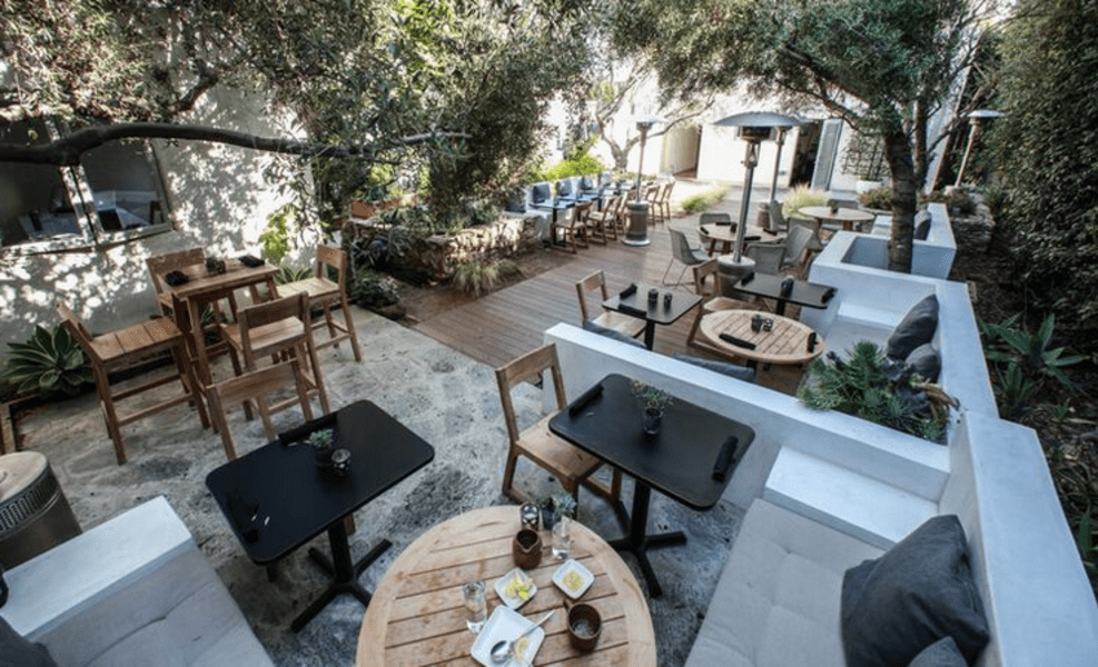 Plant Food and Wine A Restaurant in Venice, CA Thrillist