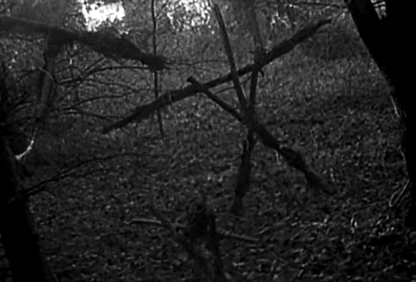 Best Horror Movies of All Time, Ranked Scariest Movies Ever Made